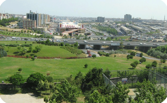 Bayrampaşa Cevatpaşa Mahallesi Böcek İlaçlama
