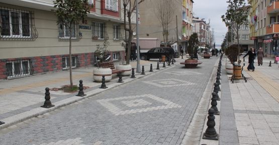 MALKOÇOĞLU PİRE İLAÇLAMA