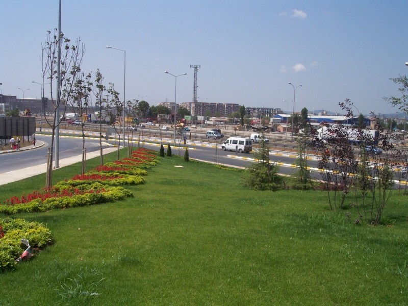 Sultanbeyli Abdurrahman Gazi fare  ilaçlama 