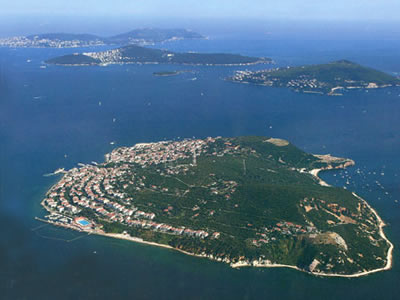 Adalar İlaçlama Firmaları  