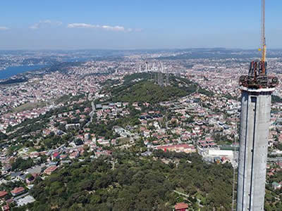 Anadolu Yakası Fare İlaçlama 