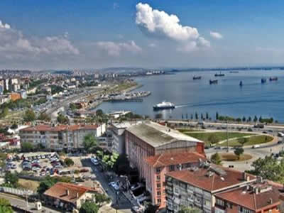 Anadolu Yakası Pire İlaçlama 