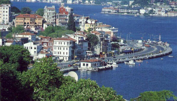 Beşiktaş Levent Pire İlaçlama