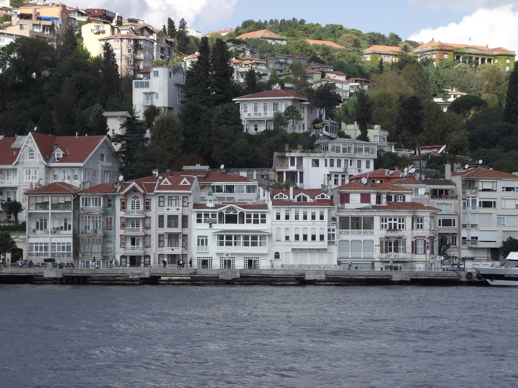 Beşiktaş Kuruçeşme Böcek İlaçlama