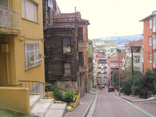 Beşiktaş Serencebey Fare İlaçlama