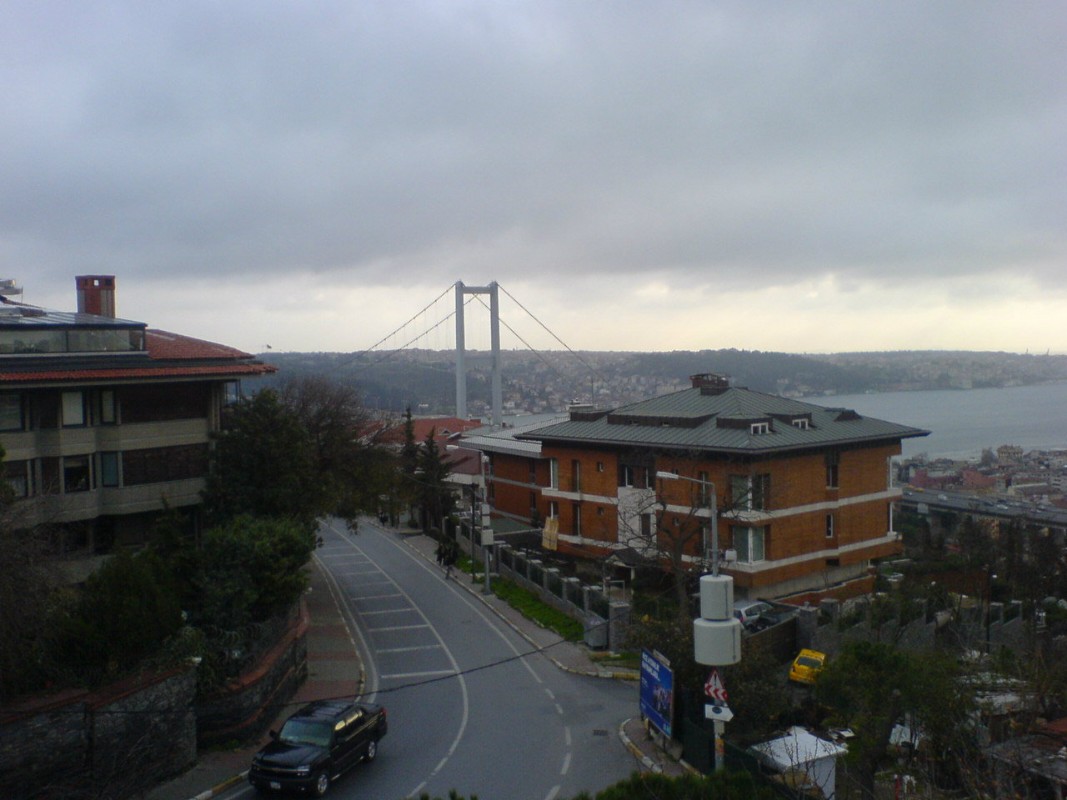 Beşiktaş Ulus Fare İlaçlama