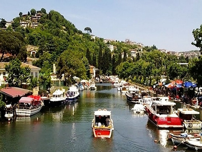 Beykoz İlaçlama Firmaları
