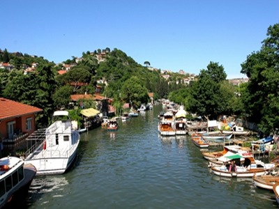 Beykoz İlaçlama Şirketleri
