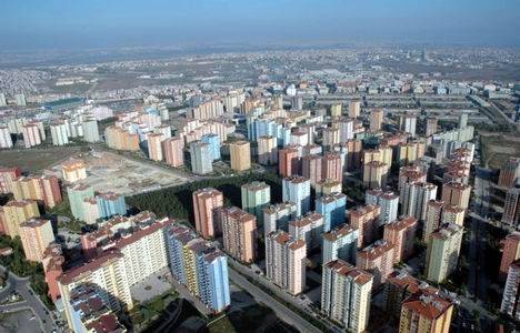 Beylikdüzü Barış Mahallesi Fare İlaçlama