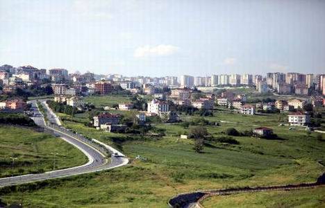 Beylikdüzü Kavaklı Fare İlaçlama