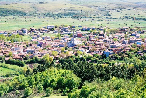Çatalca Binkılıç Fare İlaçlama