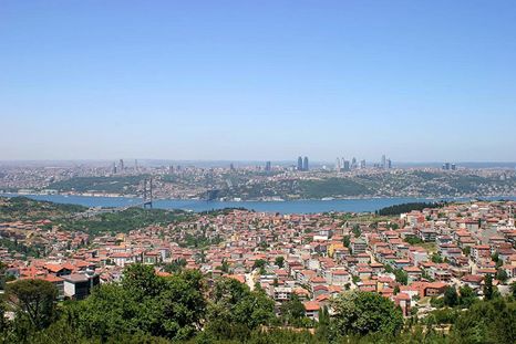 Çamlıca Böcek İlaçlama