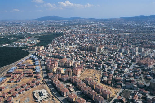 Çekmeköy Pire İlaçlama