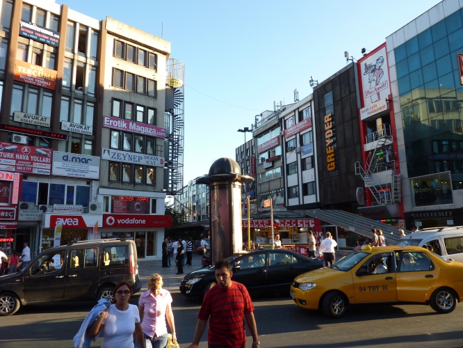 Cevizlik Pire İlaçlama