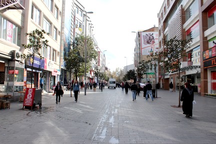 Davutpaşa İlaçlama