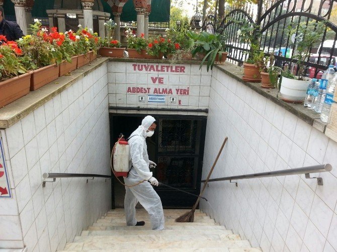 DEZENFEKTE Böcek İlaçlama