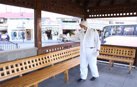 Domuz Gribi İlaçlama