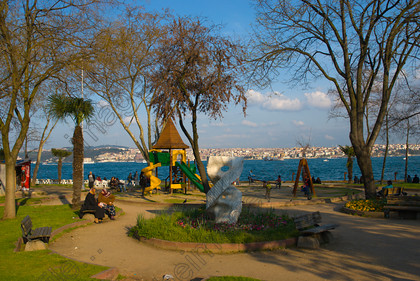 Fındıklı Fare İlaçlama