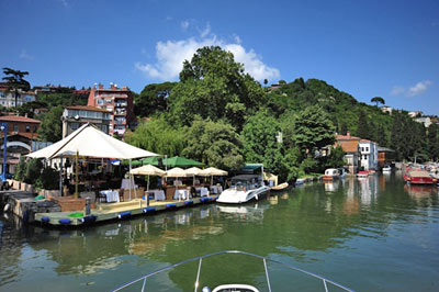 Göksu Fare İlaçlama