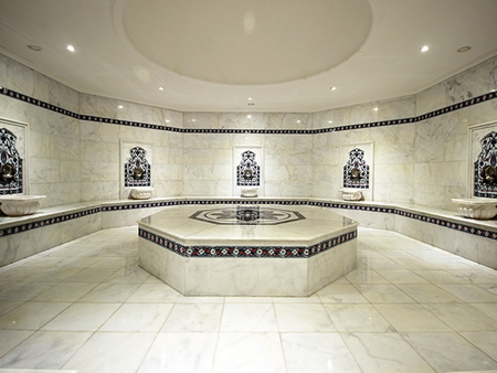 HAMAM Böcek İlaçlama