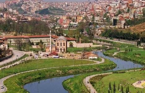 Hamidiye Fare İlaçlama