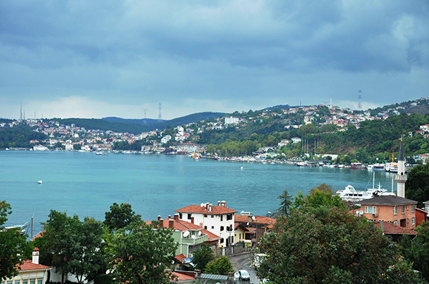 İncirköy Fare İlaçlama
