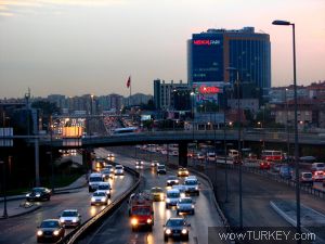 İncirli Böcek İlaçlama