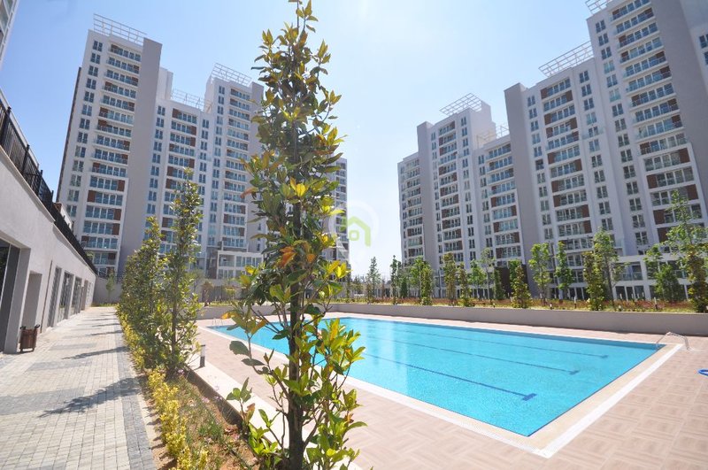 Başakşehir Ispartakule Fare İlaçlama