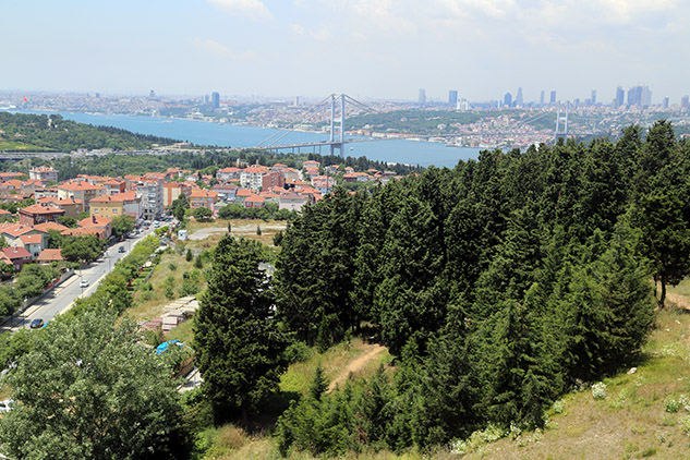 Küplüce Fare İlaçlama