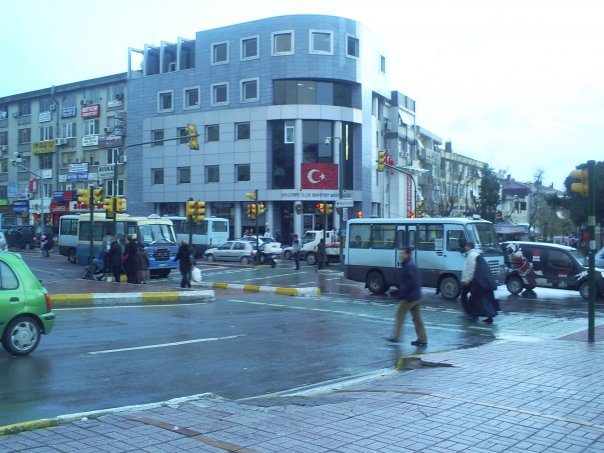 Maltepe Gülsuyu Pire İlaçlama