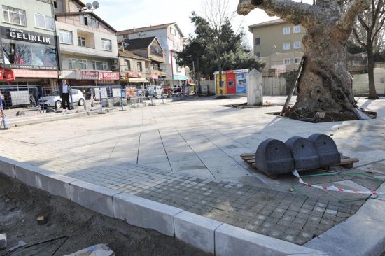 Ortaçeşme  Pire İlaçlama