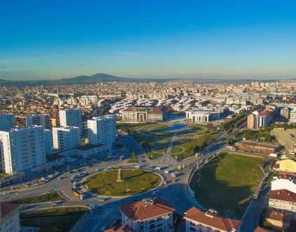 Sarıgazi Fare İlaçlama