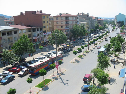 Sultanbeyli Akşemsettin Fare İlaçlama 