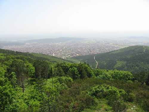 Fatih Fare ilaçlama  