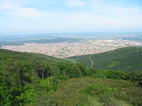 Hamidiye Pire ilaçlama  