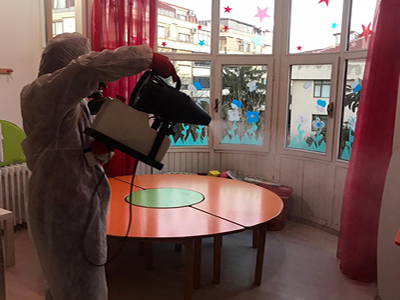 TAHTA KURUSU İLAÇLAMA FİRMALARI