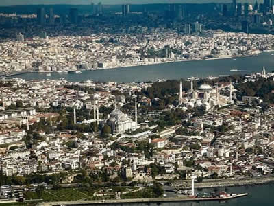 TAHTA KURUSU İLAÇLAMA İSTANBUL  