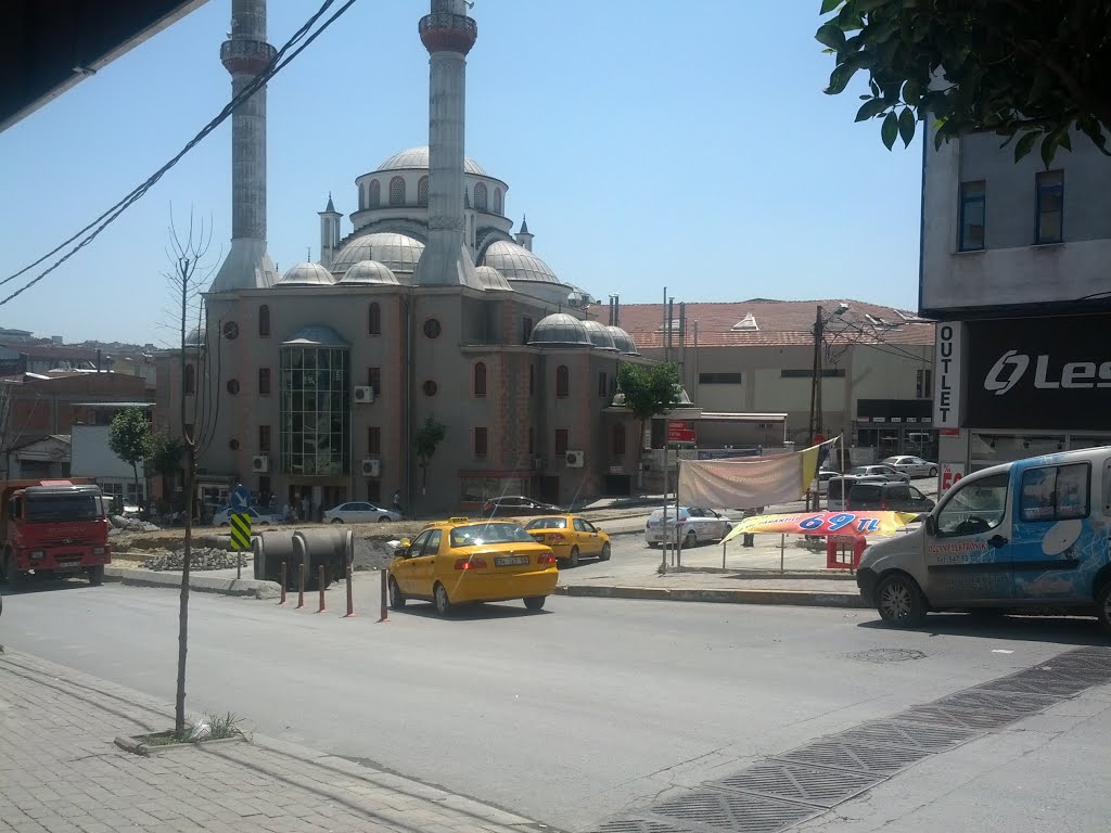 Üçyüzlü Pire İlaçlama