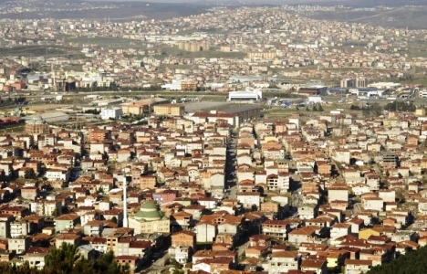 Yenidoğan Fare İlaçlama