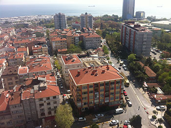 Zeytinlik Fare İlaçlama