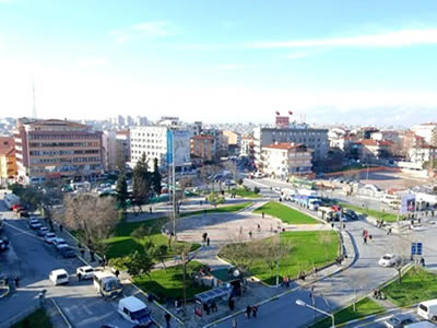 BAĞCILAR FARE İLAÇLAMA HİZMETİ
