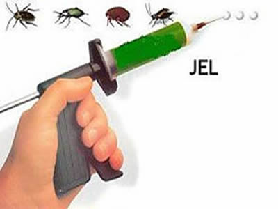BÖCEK JEL