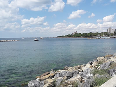 BOSTANCI İLAÇLAMA ŞİRKETİ