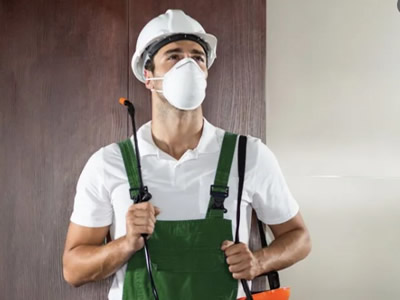 FARE İLAÇLAMA KESİN ÇÖZÜM MÜ? 