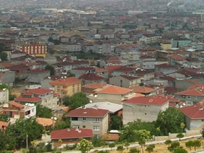 GEBZE FARE İLAÇLAMA SERVİSİ 