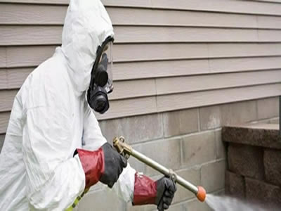 GEBZE PİRE İLAÇLAMA SERVİSİ