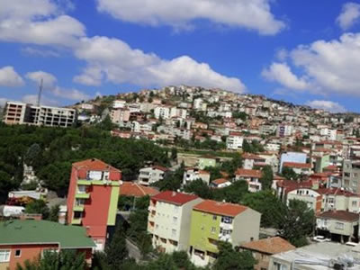 MALTEPE İDEALTEPE İLAÇLAMA ŞİRKETİ