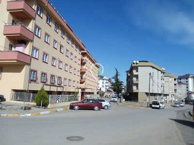 TOPSELVİ İLAÇLAMA ŞİRKETİ