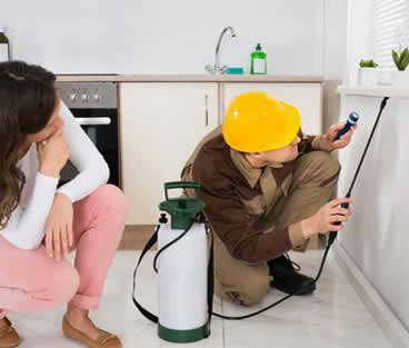Ev Böcek İlaçlama